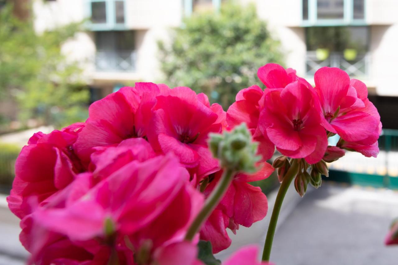 Boutique Apartment La Lavande Free Parking 10 Min Walk Nizza Exterior foto